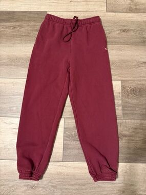 TNA  Aritzia Burgundy Women's Jogger Sweatpants